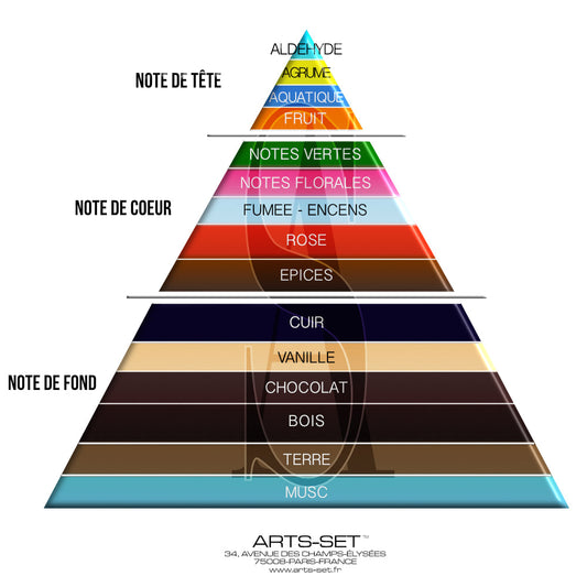 Cum alegi parfumul potrivit pentru tine – Ghidul complet al notelor olfactive