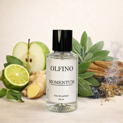 Parfum bărbați aromatic fresh – Olfino Momentum