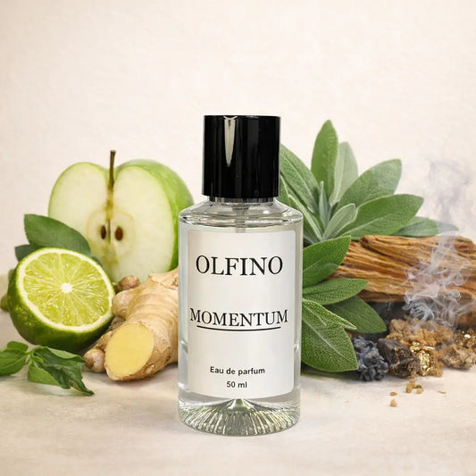 Parfum bărbați aromatic fresh – Olfino Momentum